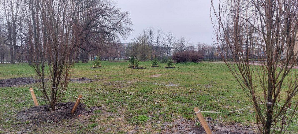 Дождик. И мать его, Хмурь. Фото.