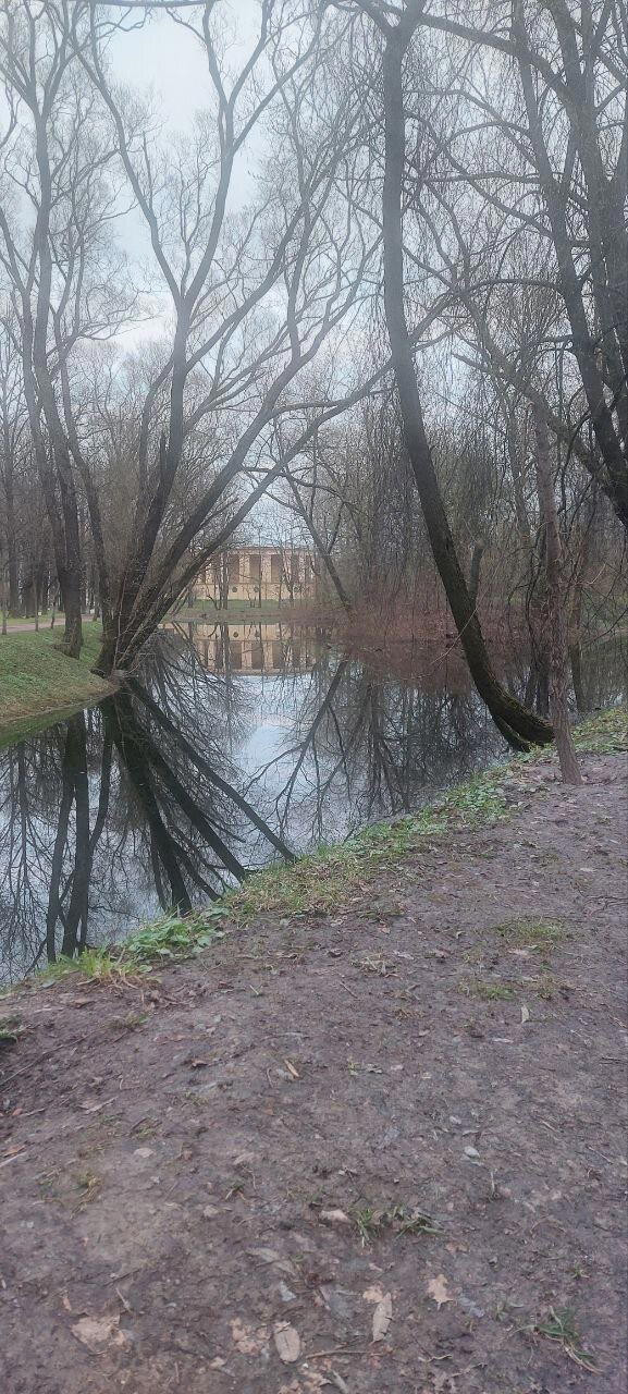 Дождик. И мать его, Хмурь. Фото.