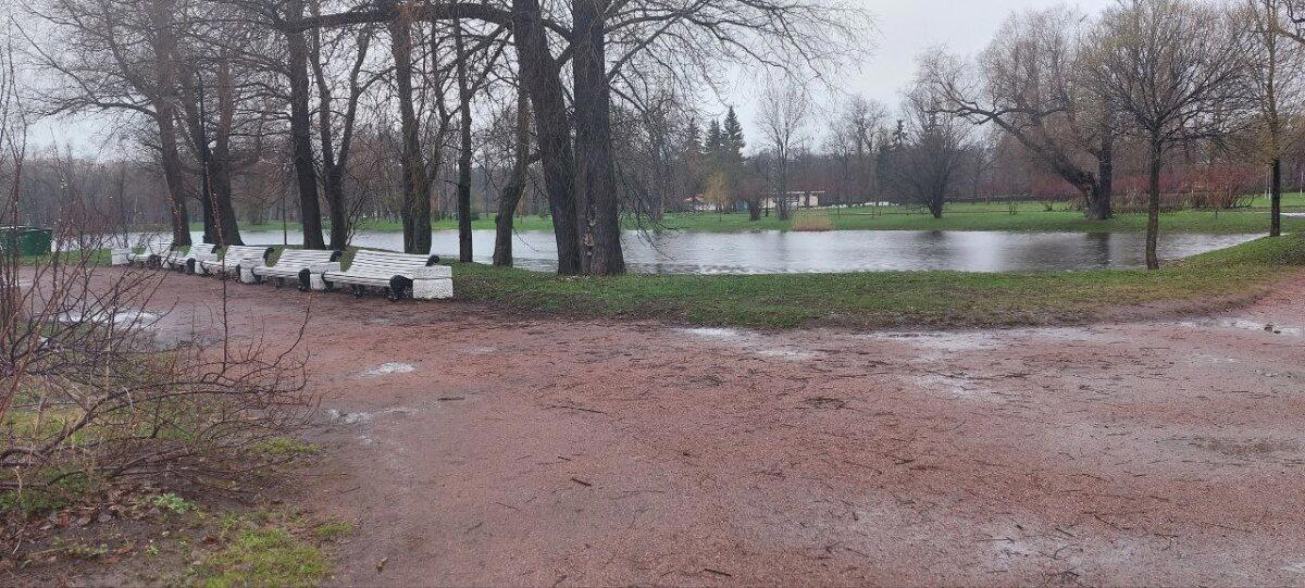 Дождик. И мать его, Хмурь. Фото.