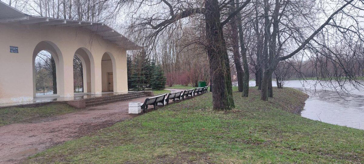 Дождик. И мать его, Хмурь. Фото.