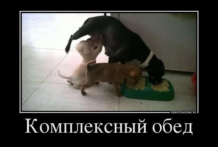Демотиваторы ещё