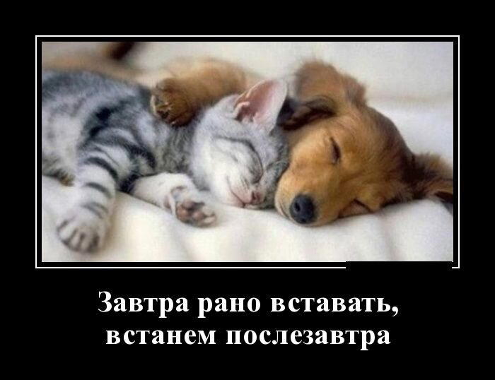 Демотиваторы ещё