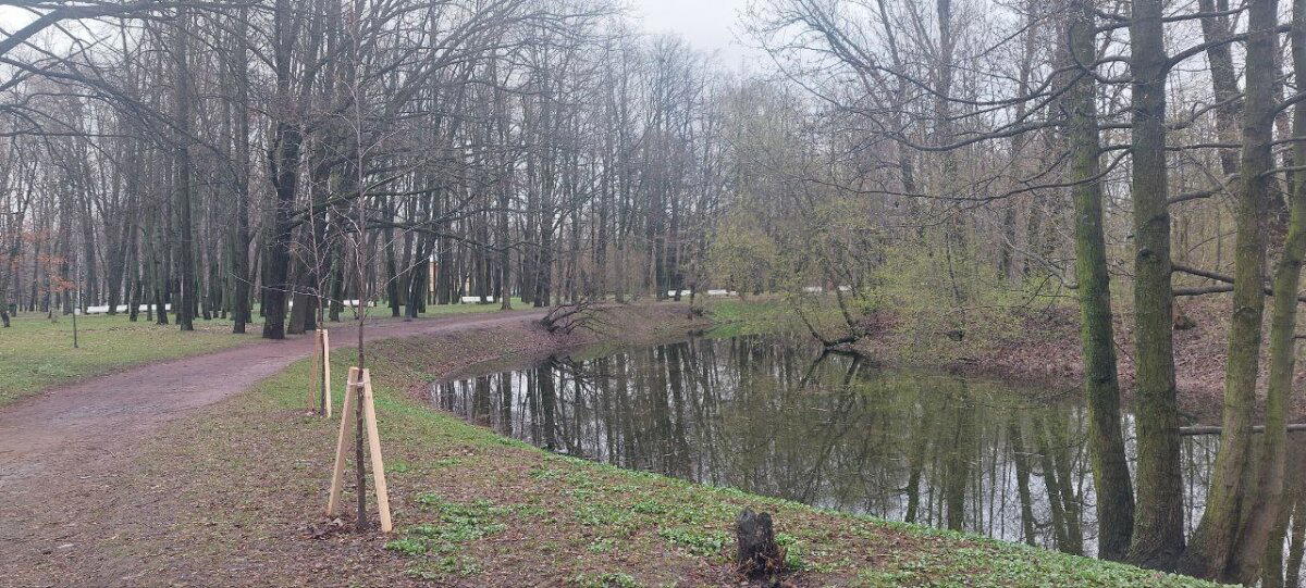 А тепло! Фото. Пейзажи. Парк.