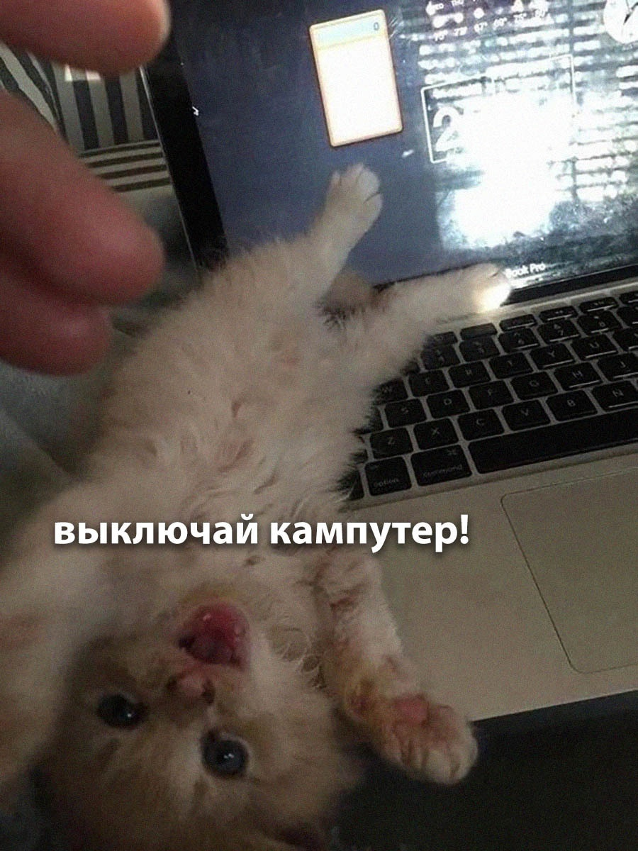 Всем спать!