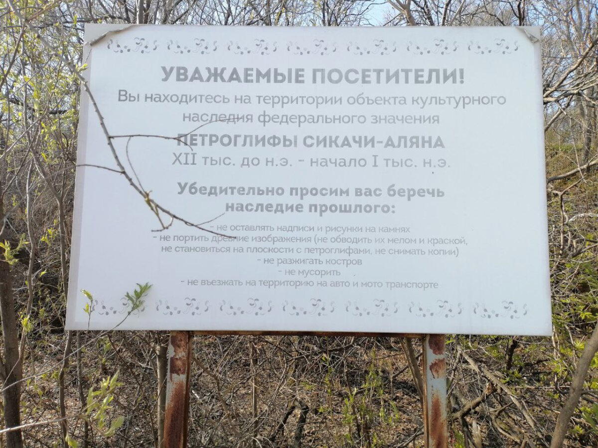 Петрогли́фы Сикачи́-Аля́на (Амурские петроглифы). Съездил посмотреть, чтобы вам не пришлось.