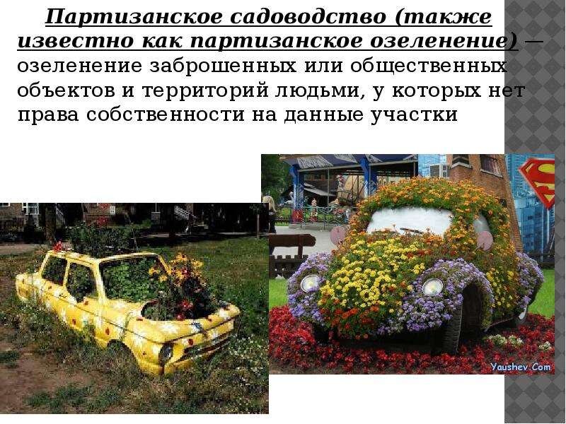 Международный день партизанского садоводства