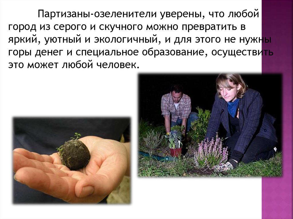 Международный день партизанского садоводства