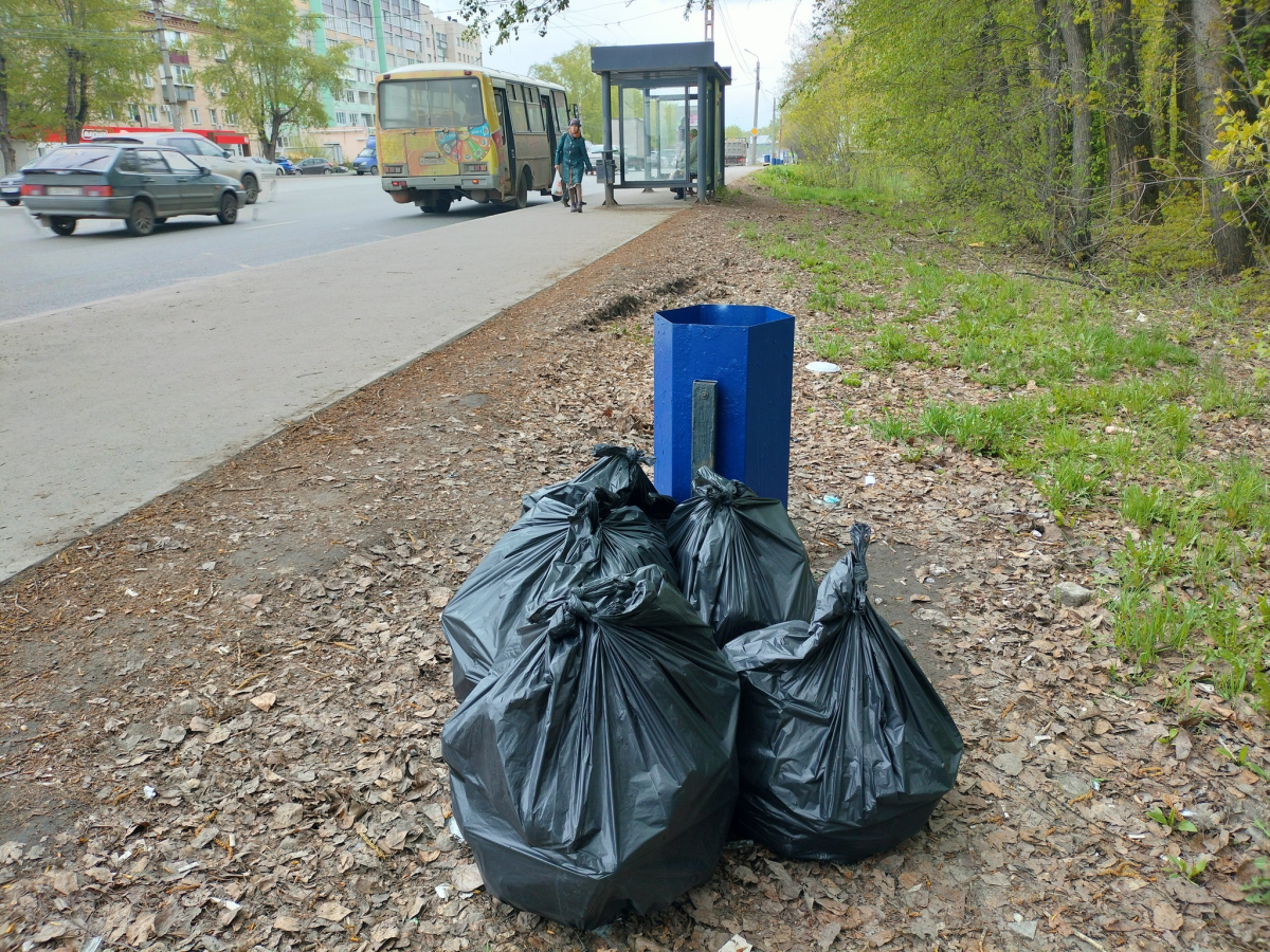 Борюсь с ветряными мельницами