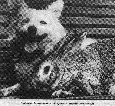 Кусачка с Серым, уже корефаны