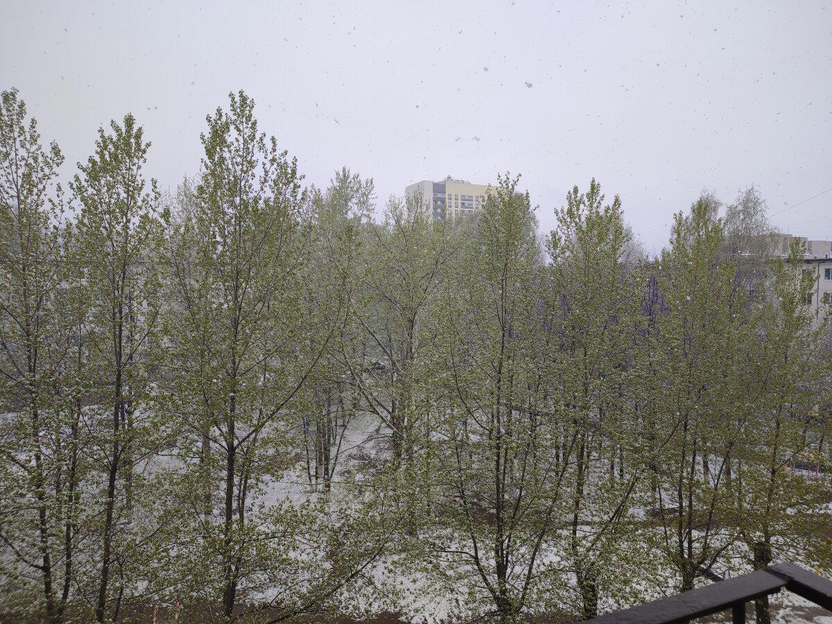 Майский снег