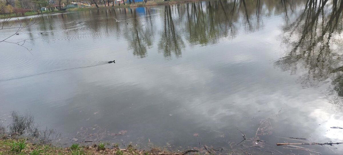 Опять ... пять. Фотохолод. Пейзажи.