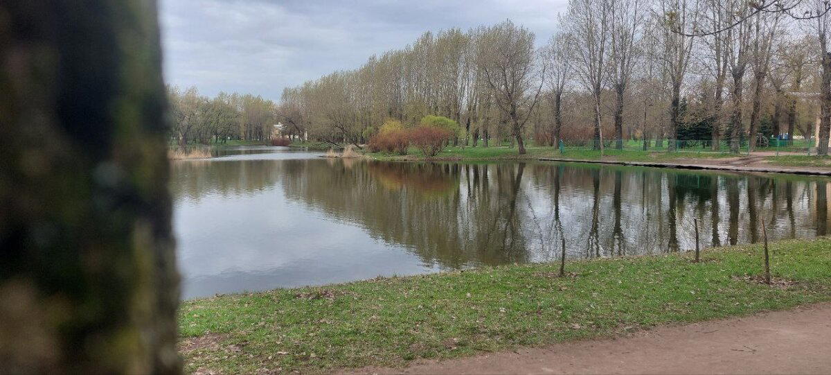 Опять ... пять. Фотохолод. Пейзажи.