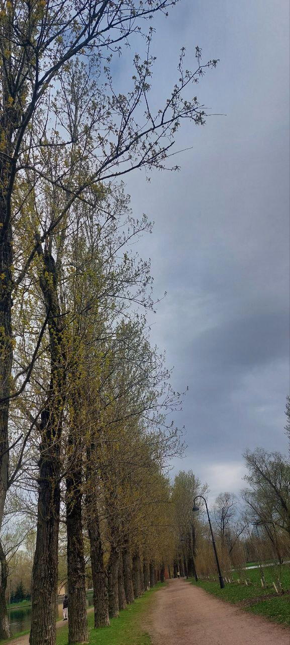 Опять ... пять. Фотохолод. Пейзажи.