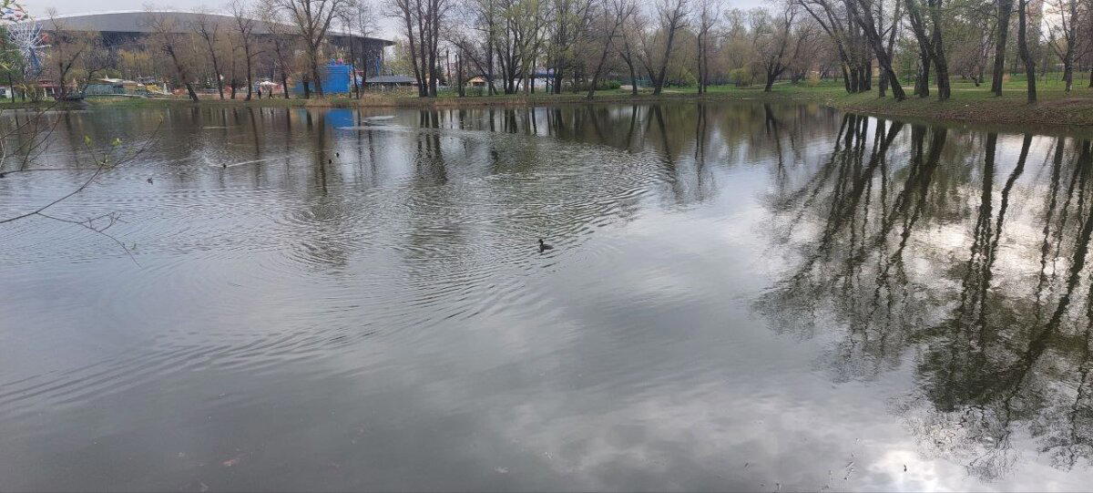 Опять ... пять. Фотохолод. Пейзажи.