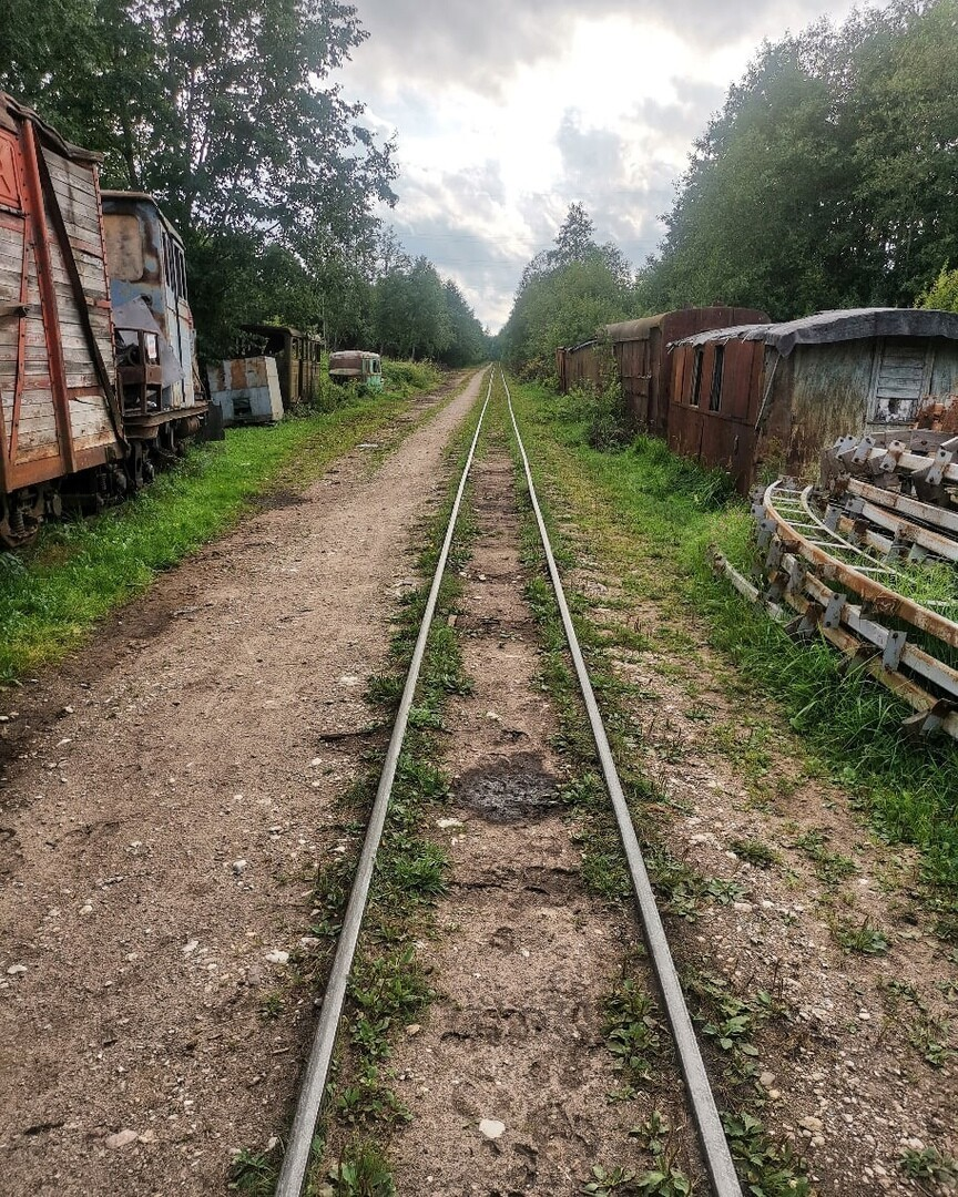 фото: Августина Касиньская