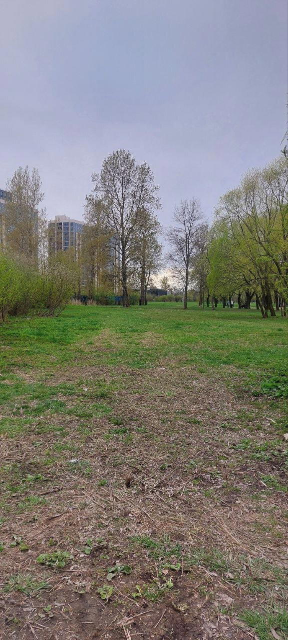 Синь да Серь. Пейзажи.