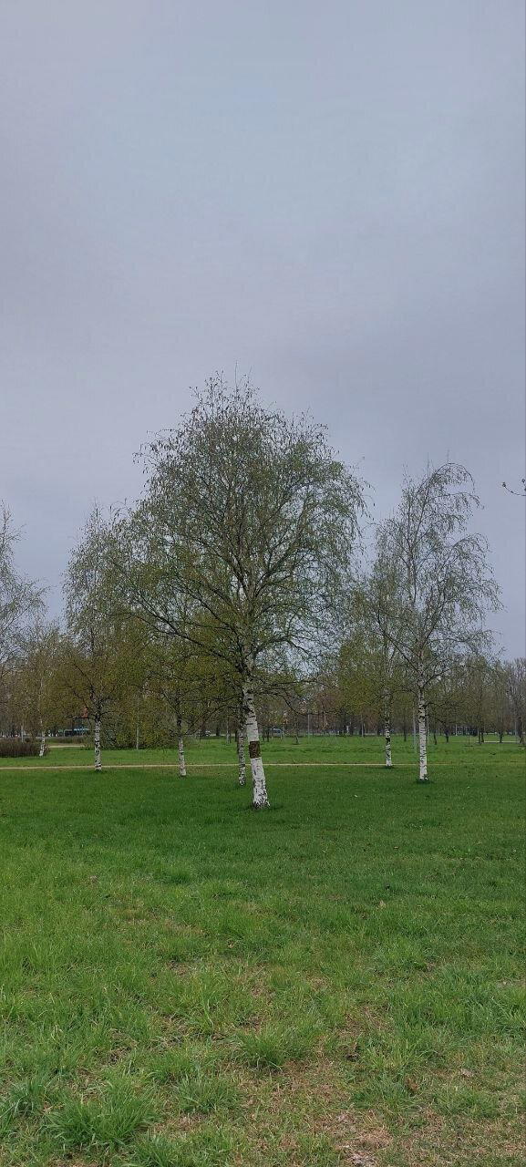 Синь да Серь. Пейзажи.
