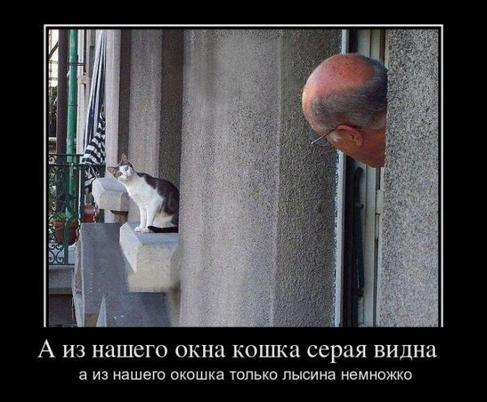 Демотиваторы ещё