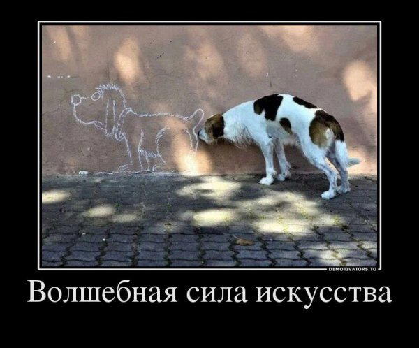 Демотиваторы ещё