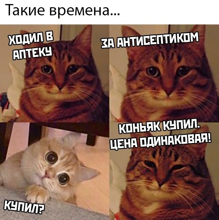Такие времена