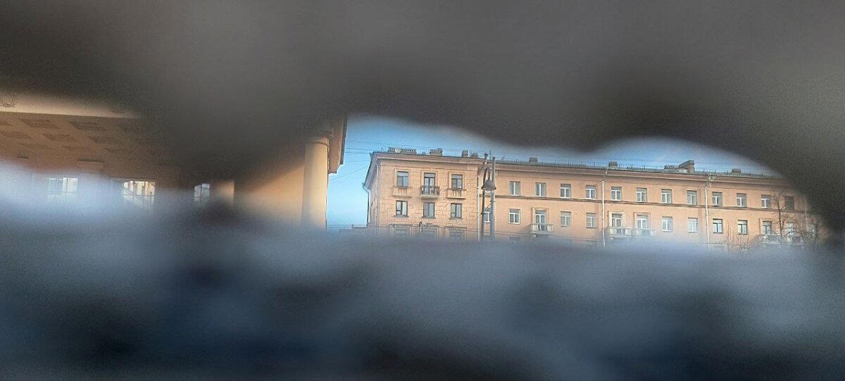 Спрятался от снега. Фото.