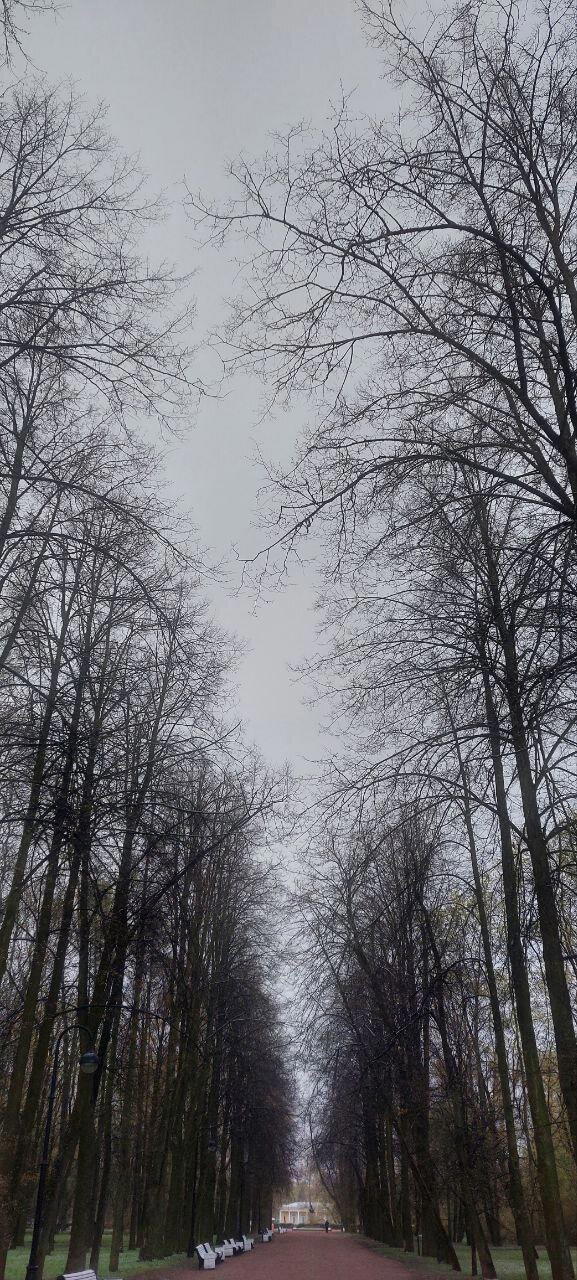 Спрятался от снега. Фото.