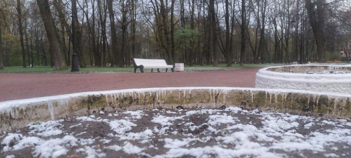 Спрятался от снега. Фото.