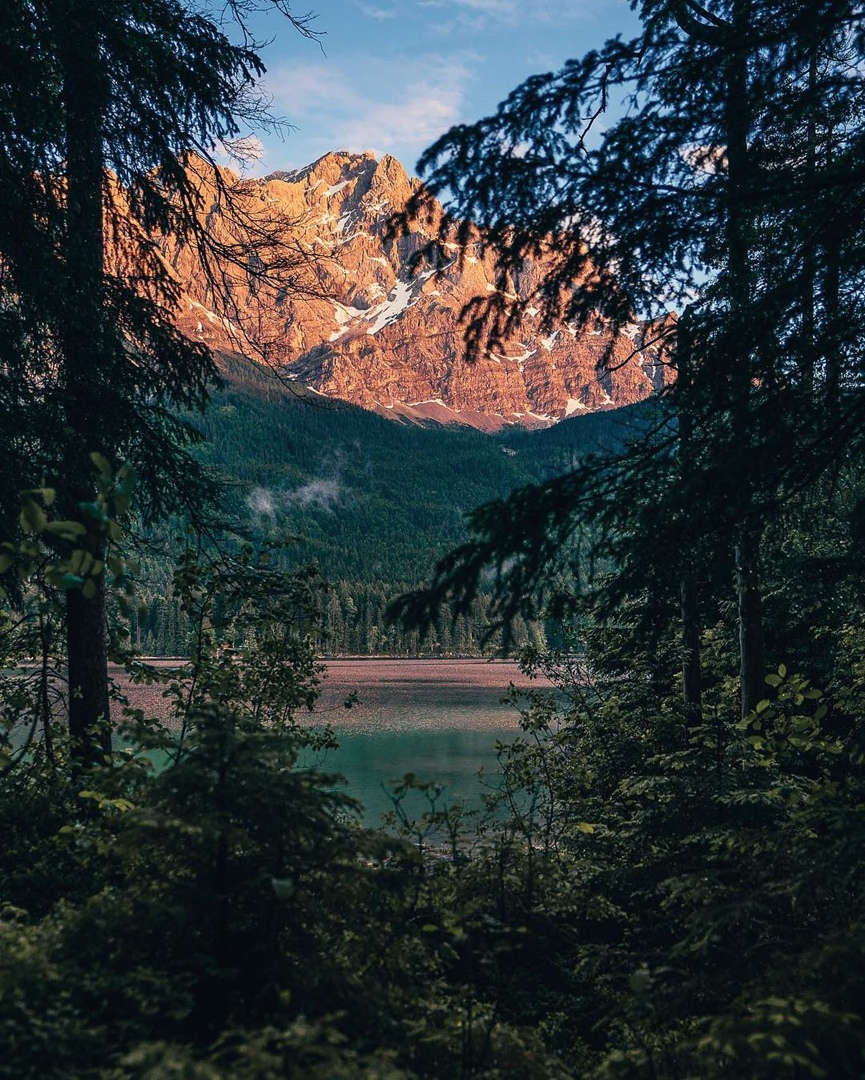 Лесная красота чешского фотографа Якуба Фишера