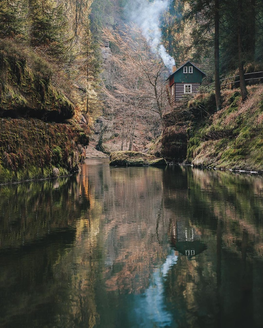 Лесная красота чешского фотографа Якуба Фишера
