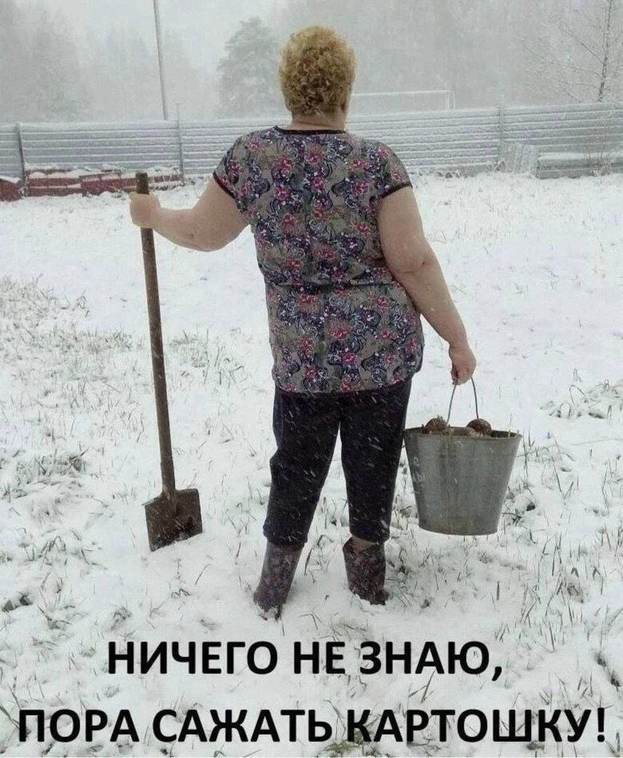 Суровые огородники