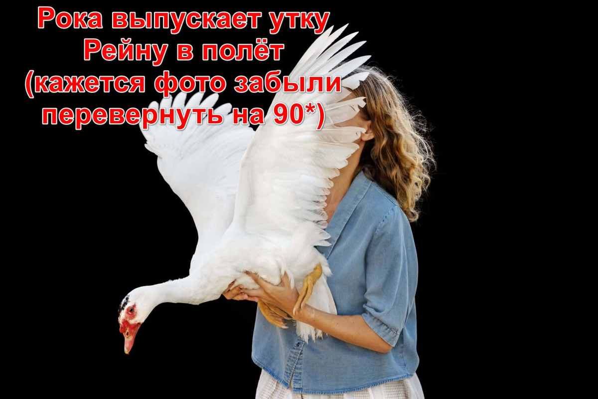 мимими