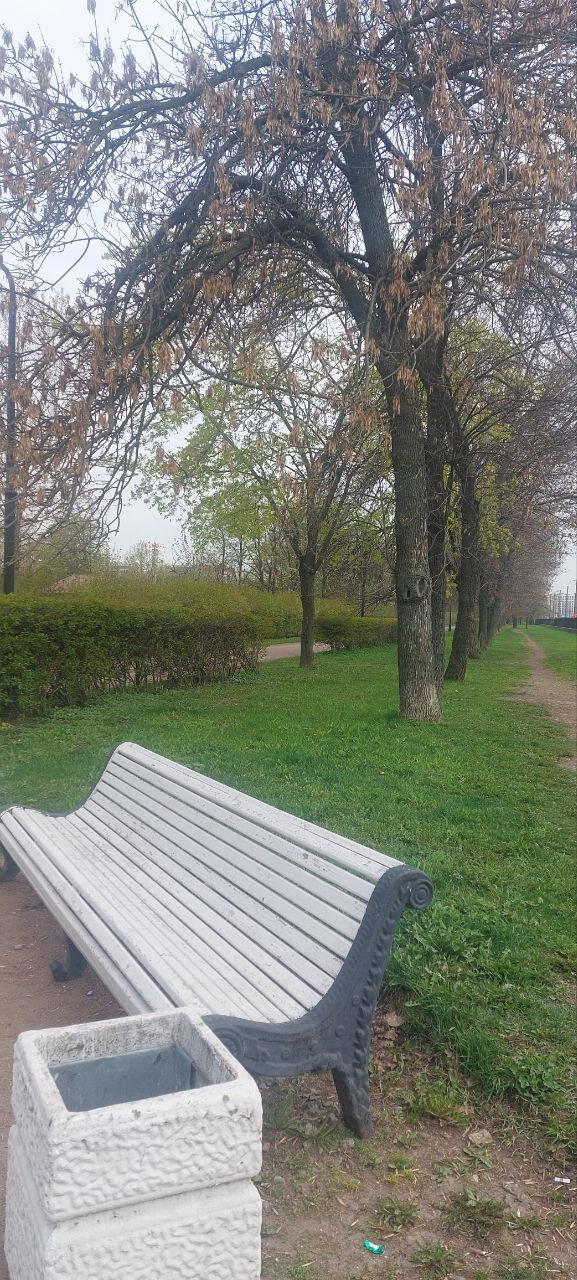 И, все таки, это весна. Фото.