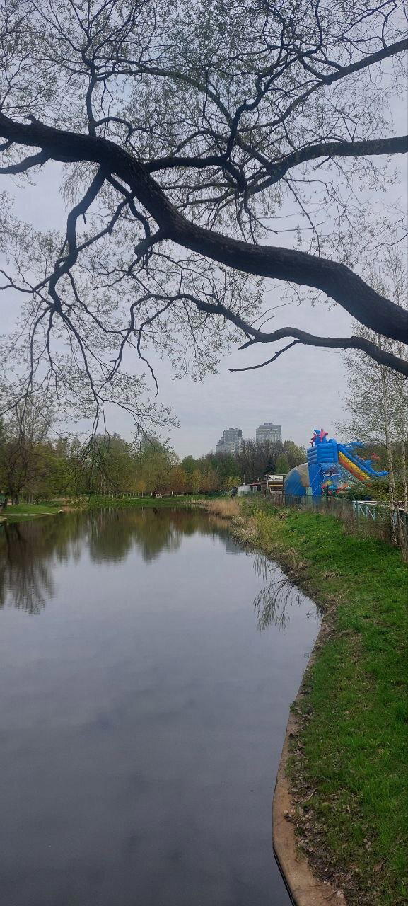 И, все таки, это весна. Фото.
