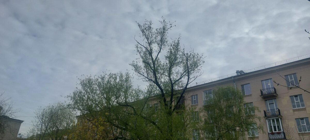 И, все таки, это весна. Фото.