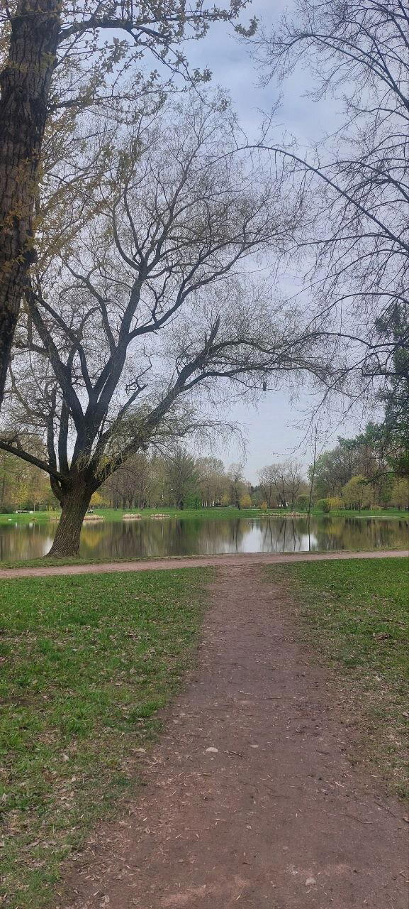 И, все таки, это весна. Фото.