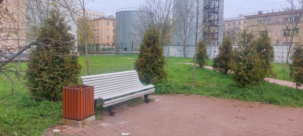 И, все таки, это весна. Фото.