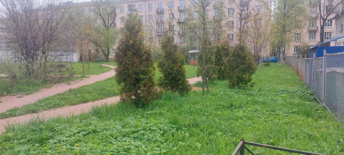 И, все таки, это весна. Фото.