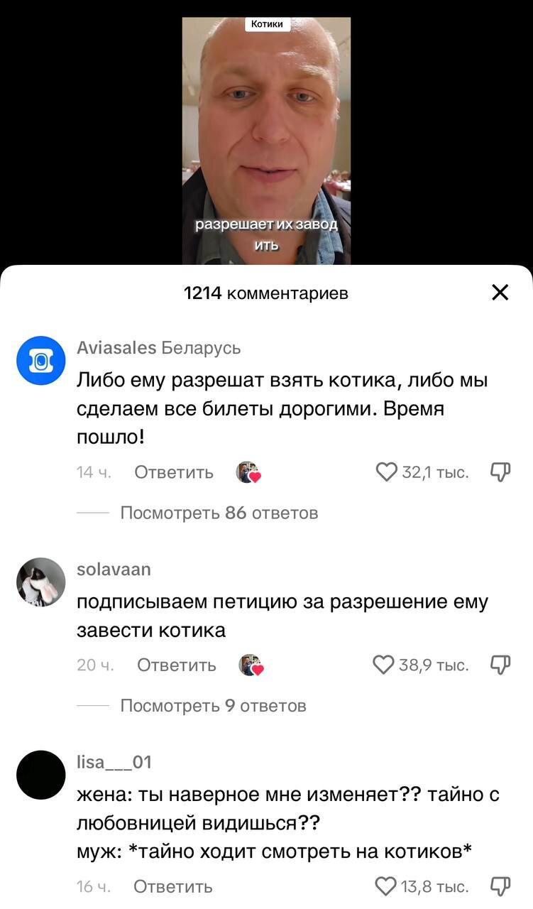 Когда очень хочется завести котика