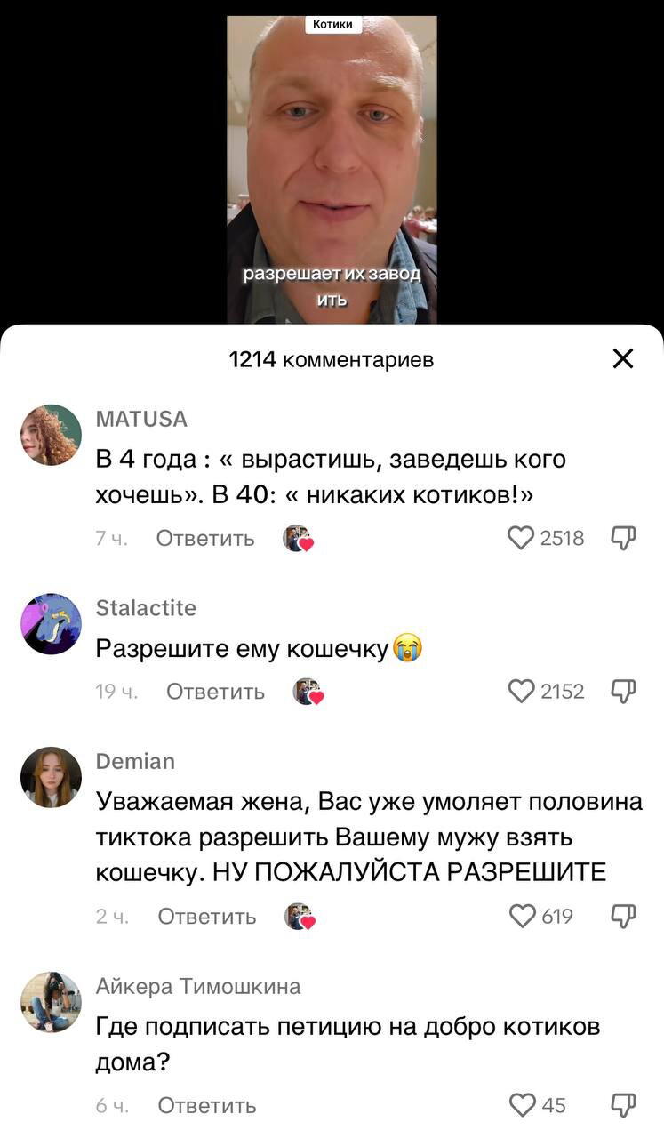 Когда очень хочется завести котика