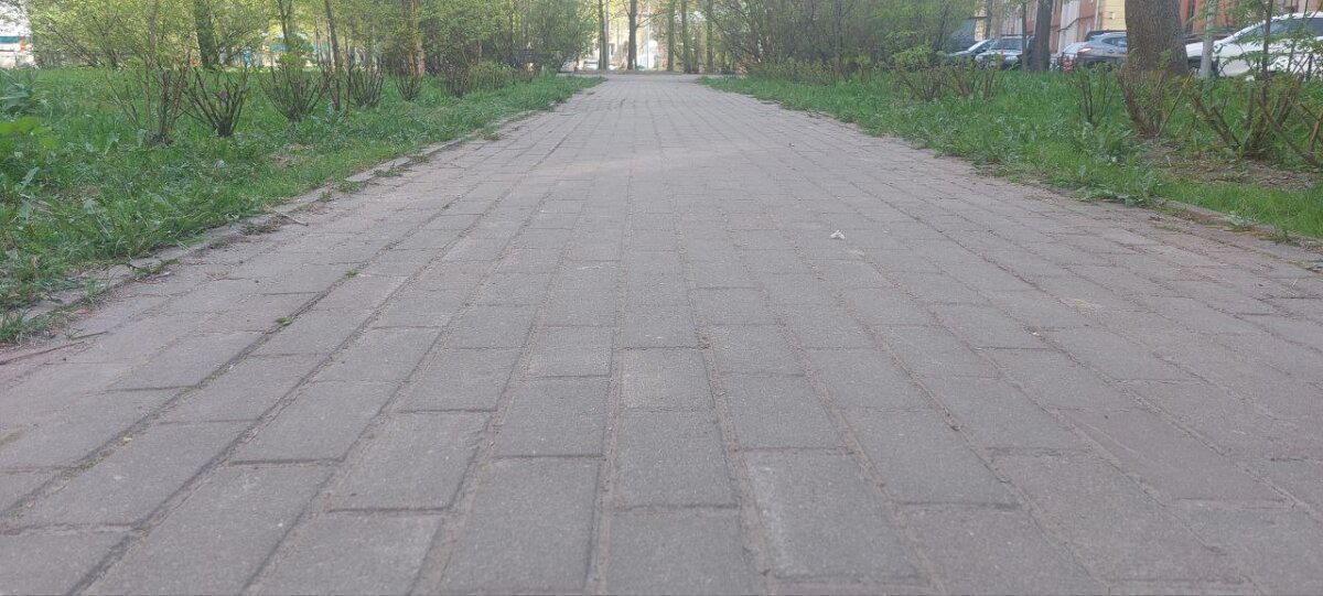 Ждём снега. Фото. Пейзажи.