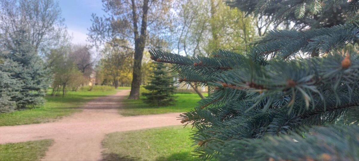Ждём снега. Фото. Пейзажи.