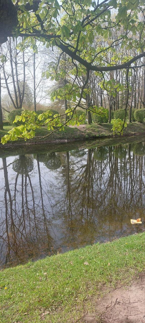 Ждём снега. Фото. Пейзажи.