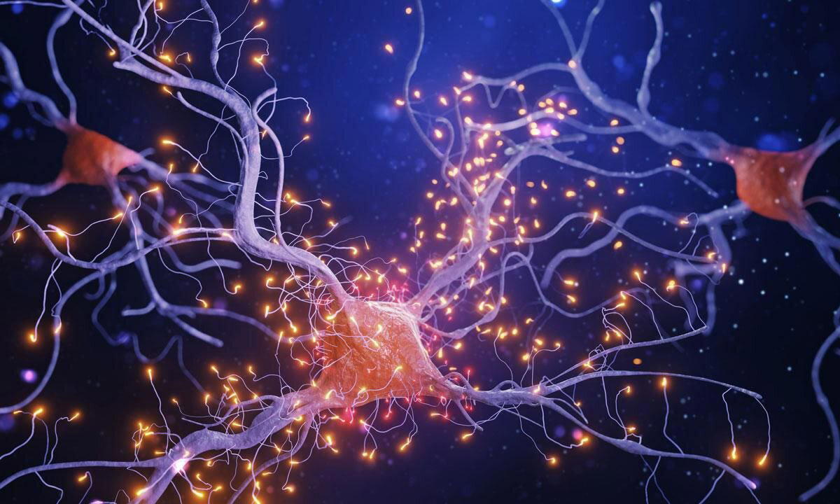 Как нервная система передает электричество, если нервы — не провода?