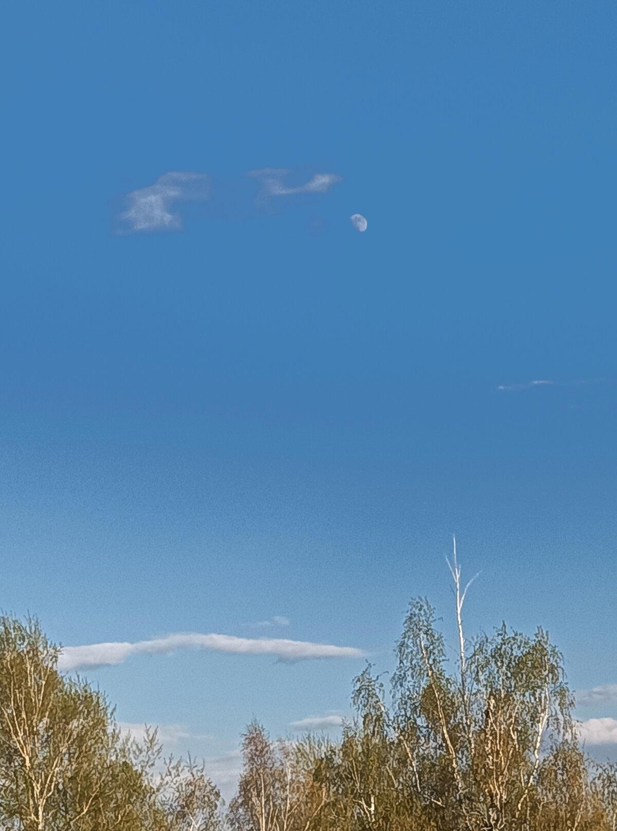 Это птица? Это самолёт? Нет. Это Луна