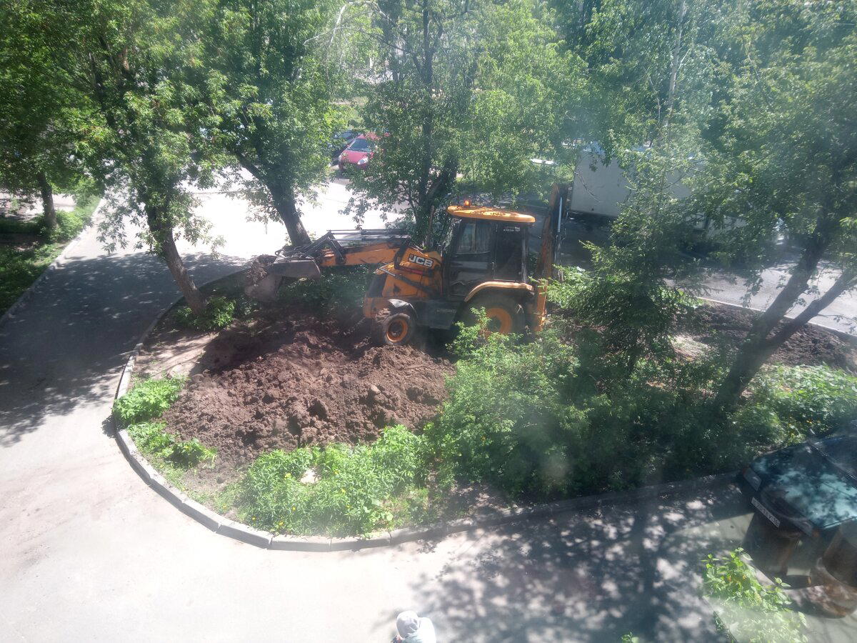 Рыцари свежего