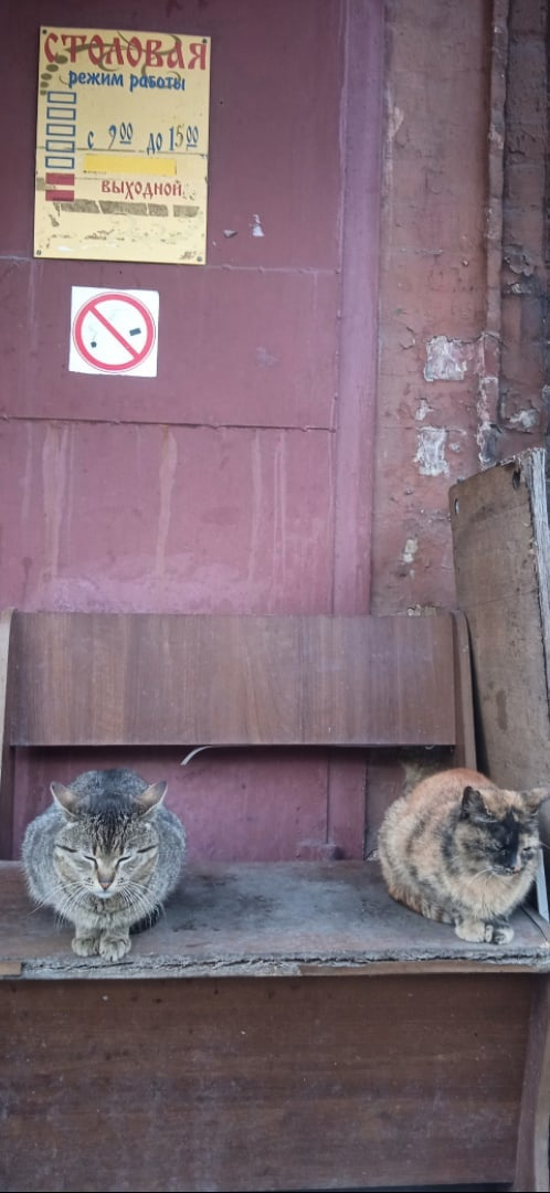 Столовая завода "Кожа" в Санкт-Петербурге. <br><br>фото прислала Ника Родина