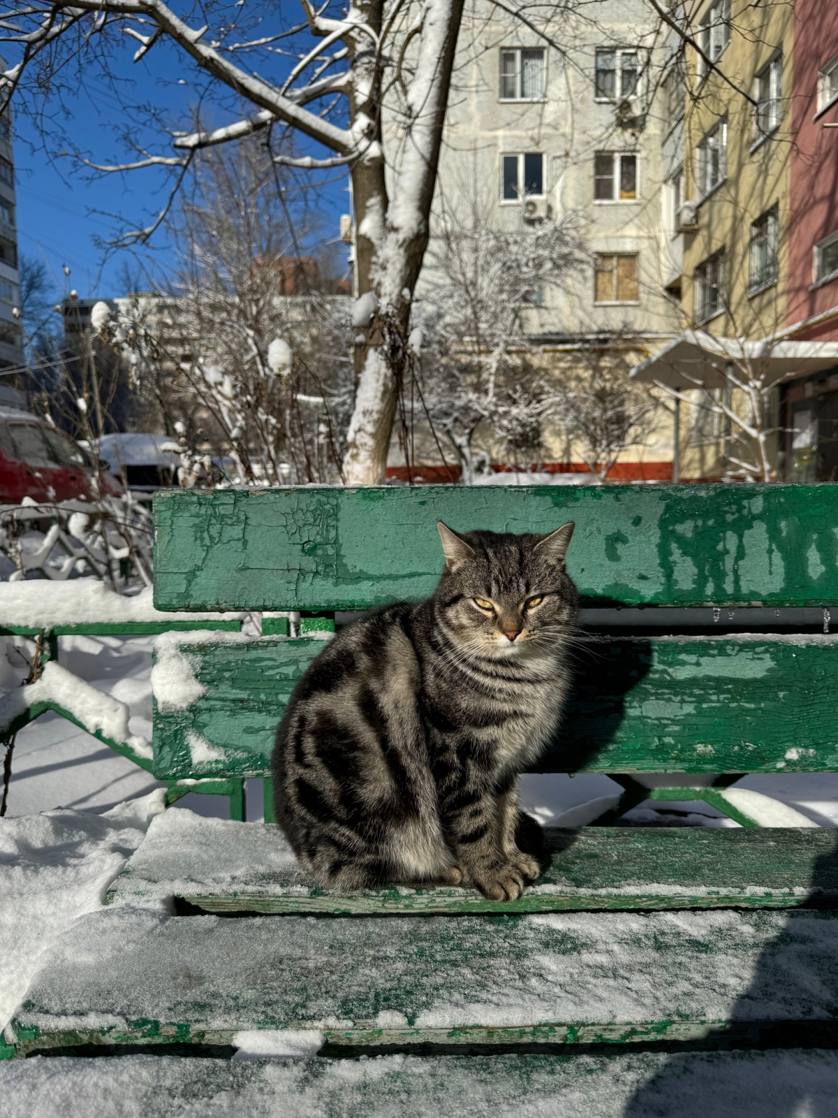 Ростов-на-Дону<br><br>фото: Геннадий Ефанов