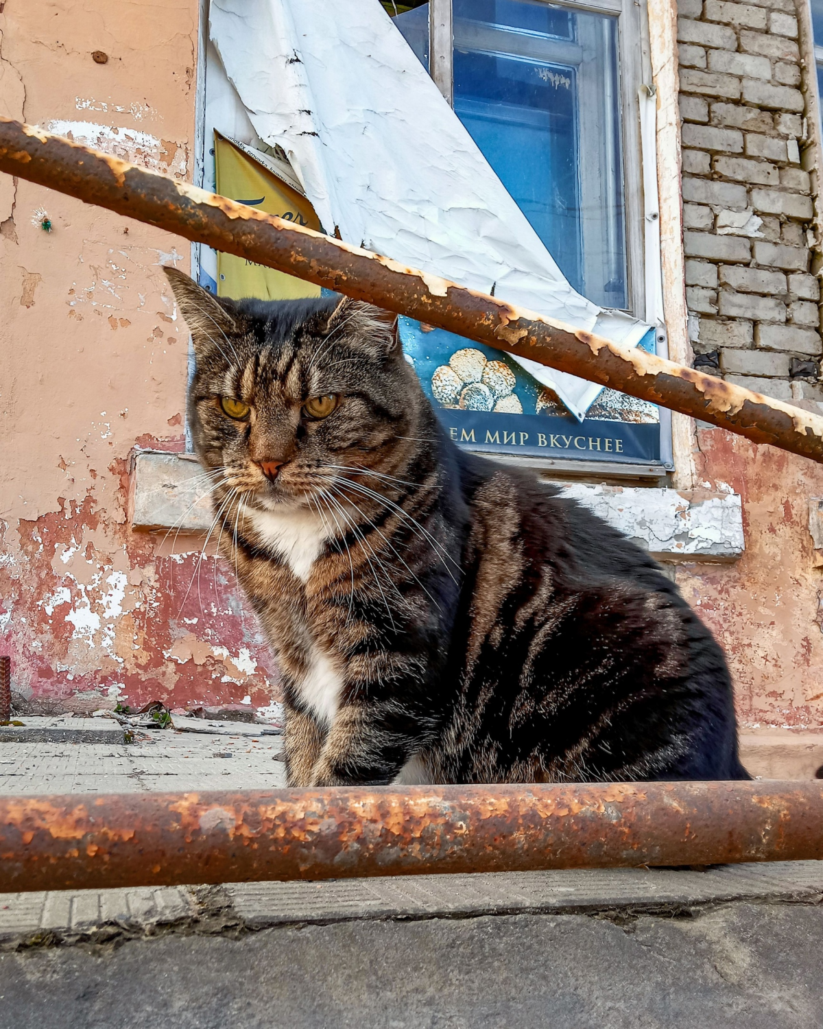 фото прислала Анастасия Рулл