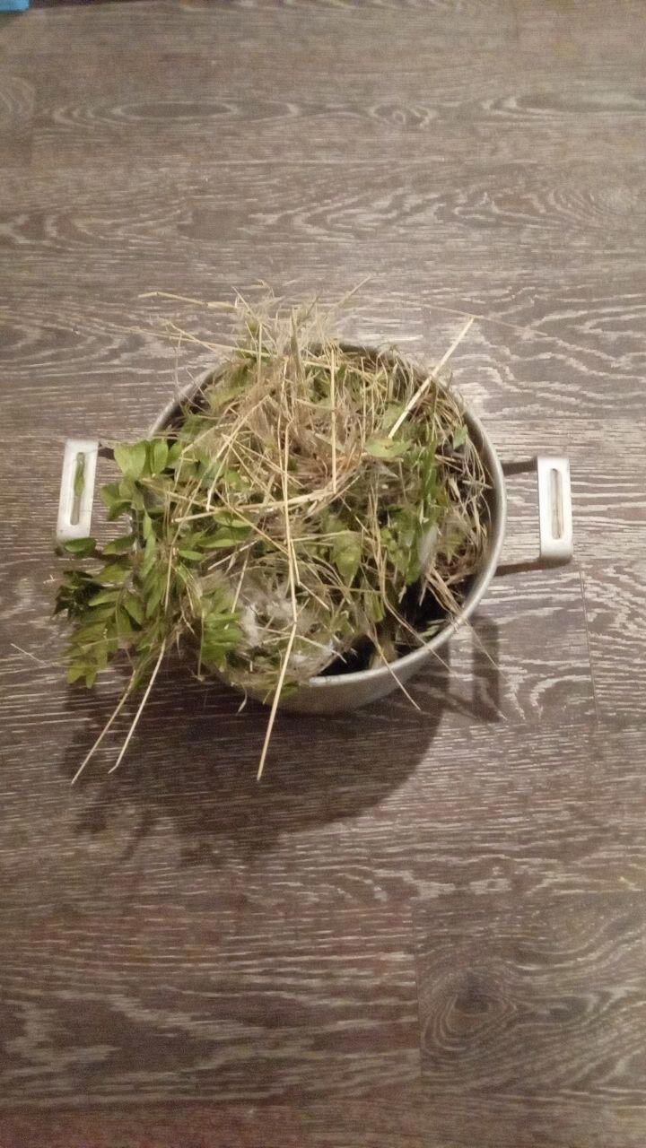 целая кастрюля с горкой, ещё зеленая травка, свежая походу
