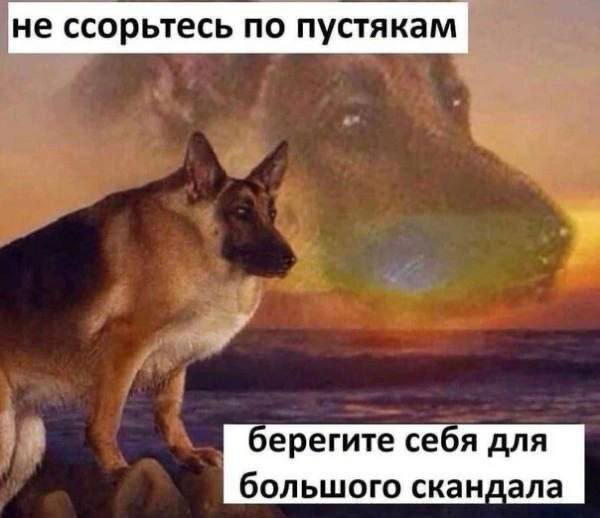 Не ссорьтесь по пустякам